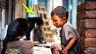 A homeless boy decided to follow the cat. What happened next is incredible!