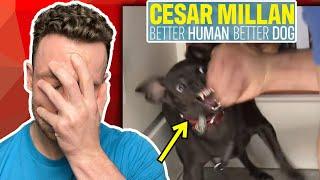 Real Dog Trainer Reacts To BRAINLESS Cesar Millan | dog trainer reacts