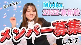 [春新歓] Mielkaの活動をご紹介！政治、教育、イベント運営、ウェブデザインやプログラミングに興味のある大学生必見！