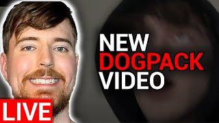 First Livestream! | DogPack404 New MrBeast Video