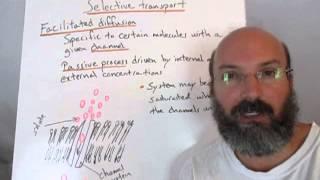 Cell transport