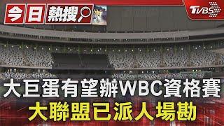 大巨蛋有望辦WBC資格賽 大聯盟已派人場勘｜TVBS新聞 @TVBSNEWS01