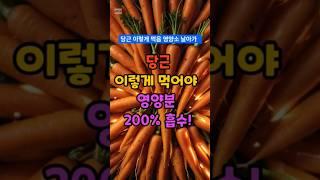 당근 이렇게 드셔야 영양분 200%흡수  #건강정보 #당근 #영양식