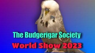 Champion Budgerigar Show 2023