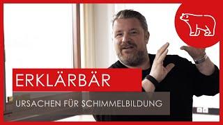 SCHIMMEL - Gründe für Schimmelbefall | #Erklärbär