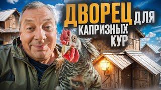 Свиньи съезжают, куры заезжают: как я переоборудовал свинарник под курятник  #МоеПодворье