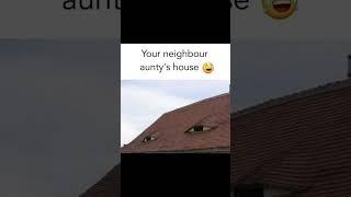 Spy Aunty 