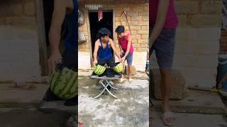 चिंटू और छेदी का तो पोपट हो गया ॥ Carriage House wooden artist Il #shorts #shortsvideo #viral