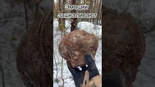 Нашли горшок с "золотом" #клад #кладоискатели #горшок #коп
