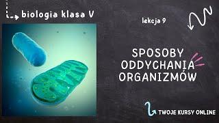 Biologia klasa 5 [Lekcja 9 - Sposoby oddychania organizmów]