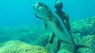 TOP 10 SHOTS - Pesca Submarina en Canarias