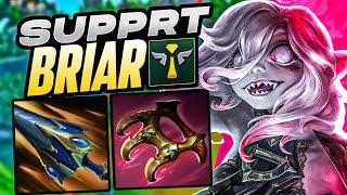 The MOST FUN Briar SUPPORT Build EVER! MOST DAMAGE TAKEN