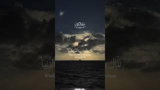 Silence Everything. Let the Qur'an Speak ️#quran #القرآن