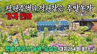 (가격인하)전원주택의 정원같이 잘 관리된 주말농장 유실수 많고 전망좋은 전원주택지 주말농장 농막 텃밭 공주부동산 토지매매~행운집 행운땅부동산tv 전원주택 농가주택 시골집 매매 급매