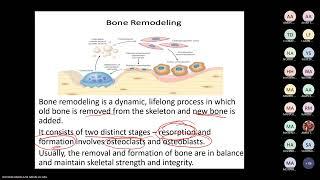 Calcium homeostasis and bone growth by Dr. Hussain Abdelaziz