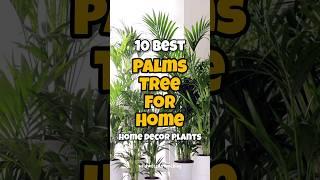 Best palm tree for home / indoor palm tree identification #houseplants #shorts #homegardening