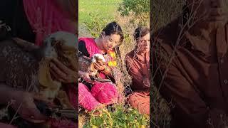 Pothwari drama #funnyvideo #hameedbabar #pothwaridrama #ramzani #shorts #ytshorts #foryou