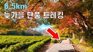 늦가을 단풍이 아름다운  코리아 둘레길/서해랑길 42코스