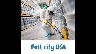 Pest city USA