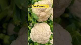 Cauliflower short video || my village new video || village farming business #farming #buisness #yt