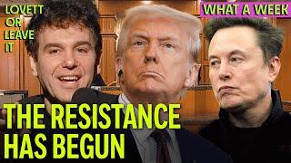 Democrats Are Fighting Back (and Winning?) Against Trump and Musk in the Courts