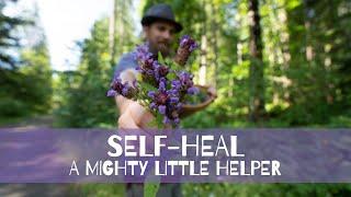 Self-Heal - a MIGHTY little helper