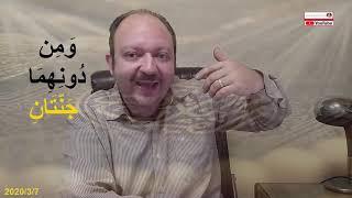 تحدي الدكتور #علي_منصور_كيالي ماذا يوجد فوق البعوضه وهذا هو الرد  الجزء الثاني