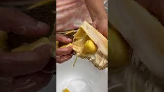 #jackfruitcutting #katahal #fanas #nostalgia #indapur