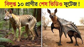 ২০০৫ সালে বিলুপ্ত হয়ে গেছে এই ১০ প্রাণী..!  || Believed Extinct Animals Still Alive