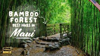 Maui's Bamboo Forest Majestic Trails & Waterfalls! 