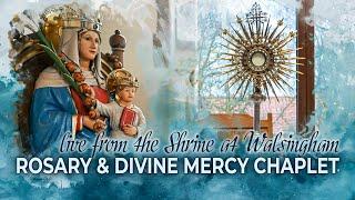 LIVE | Divine Mercy Chaplet and Rosary - 21st October 2024