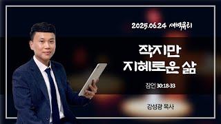 [새벽큐티] 25.06.24 작지만 지혜로운 삶 | 잠언 30장 18-33절 | 큐티인 | 순복음아름다운교회 | 강성광목사