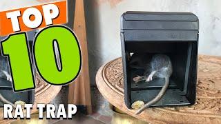 Best Rat Trap In 2024 - Top 10 Rat Traps Review