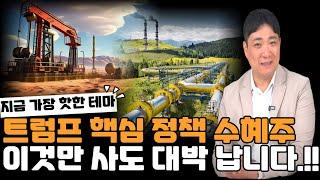 트럼프 핵심 정책 수혜주/다른 거 사지 말고 이것만 사세요.!!!