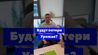 ПОТЕРИ 20-65%? #сельскоехозяйство #фермер #shorts #agro #farmers