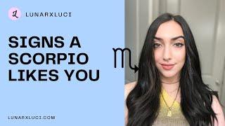 Signs a Scorpio ️ Likes You