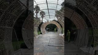 Storm Bert brings down a huge tree at Bournemouth's "Christmas Tree Wonderland Trail"