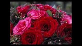 Red Red Rose´by Robert Burns  -  "Air" Johann Sebastian Bach