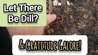 Let There be Dill, and Gratitude Galore! - Ann's Tiny Life