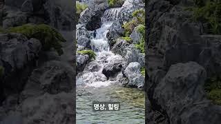 #명상 #힐링 #송도 #롱비치카페 #롱비치공원 #인천