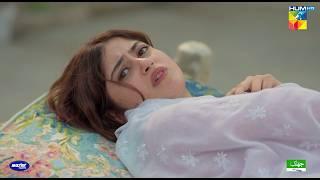 Meenu Aur Doctor Ki Ankh Macholi...!! #sajalali #hamzasohail - Zard Patton Ka Bunn - HUM TV