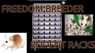 NEW Freedom Breeder Rodent Racks!!