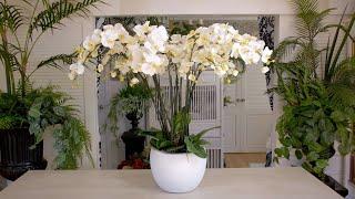 A big white Orchid floristry design!