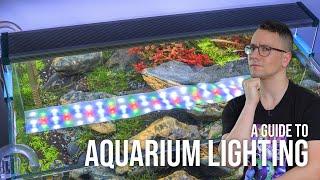 A Guide to Aquarium Lighting for Planted Tanks | EP6 Planted Tank Overview