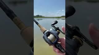 Shimano Curado DC SOUND!