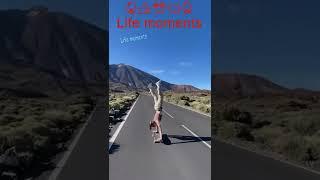 Like a boss compilation | Life moments
