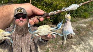 The Secret to Catching Crabs without Traps | Florida Blue Crabs | Catch Clean Cook