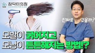 모발이 굵어지고 모낭이 튼튼해지는 방법은!? [참닥터의원]