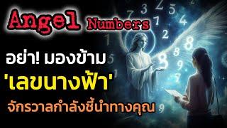 🪽ความหมาย Angel Numbers 000,0000 - 999,9999 | The Key ไขความลับจักรวาล เพื่อการตื่นรู้