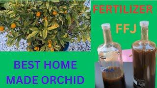 BEST HOME MADE ORCHID FERTILIZER - FFJ(FERMENTED FRUIT JUICE)